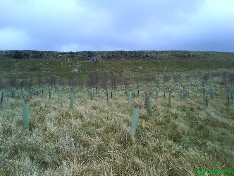 DSC01530.jpg