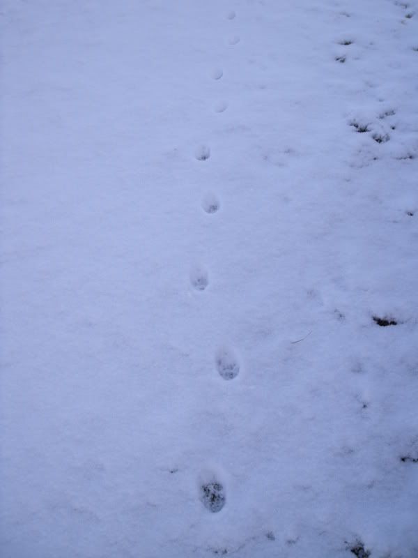 DSCF0592.jpg