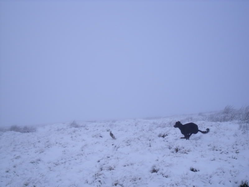DSCF0610.jpg