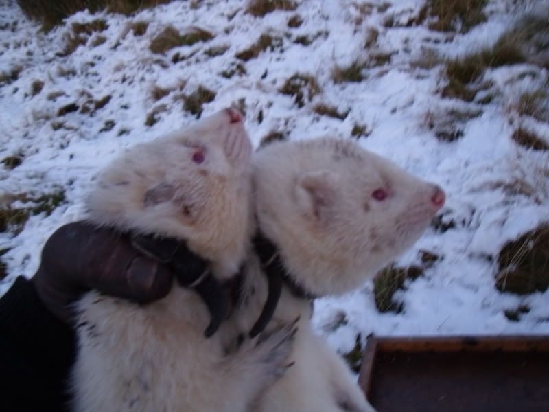DSCF0625.jpg
