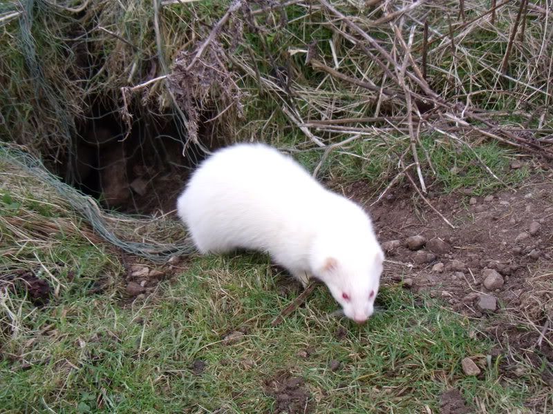 DSCF0769.jpg
