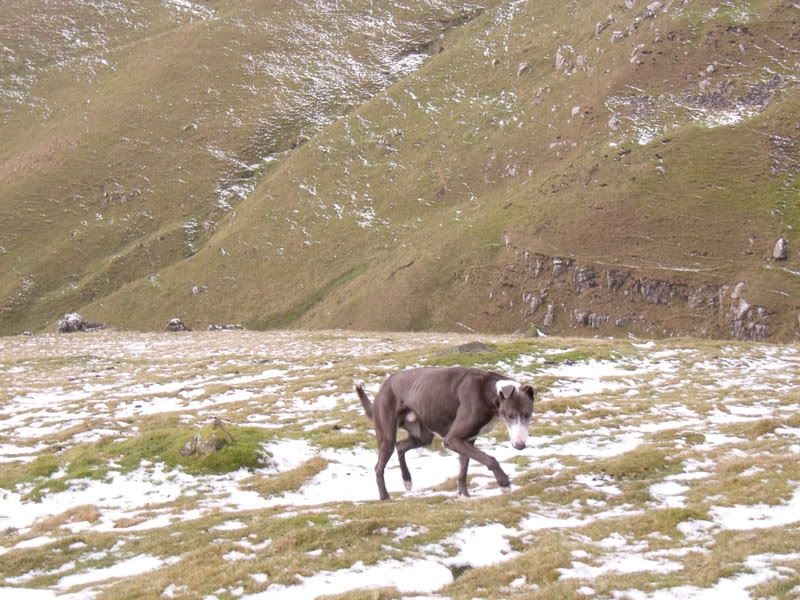 DSCF0791.jpg