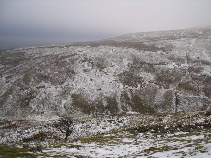 DSCF0806.jpg