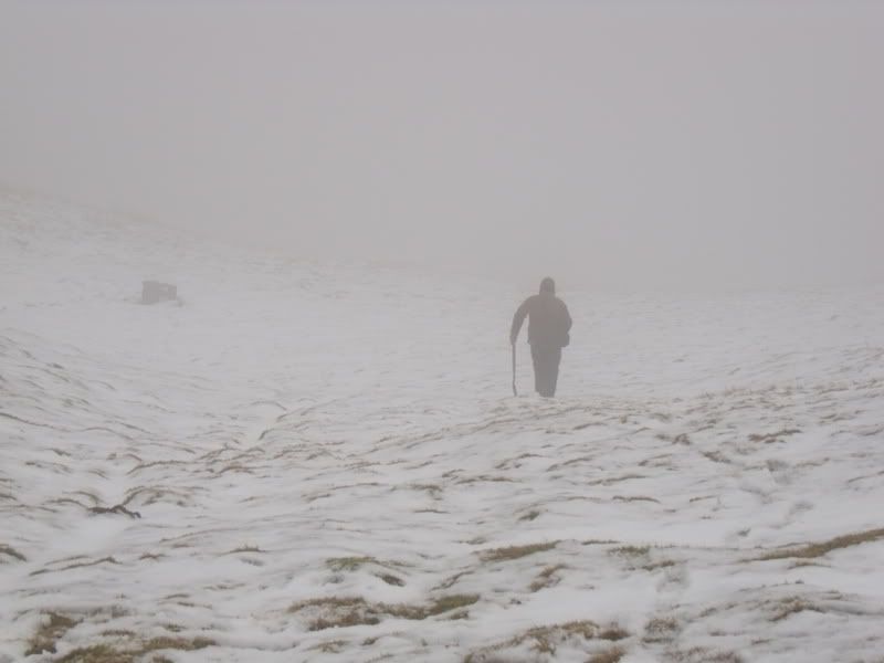 DSCF0810.jpg