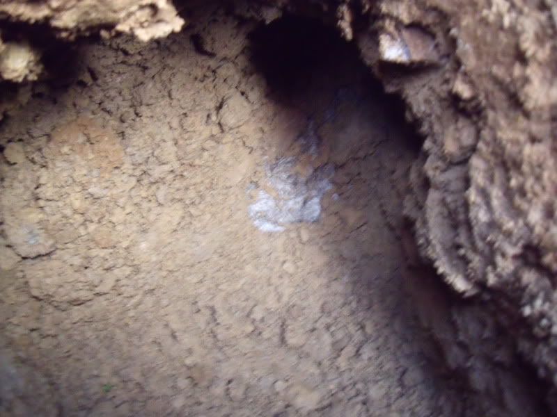 DSCF2499.jpg