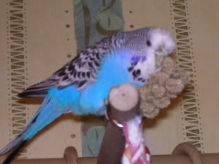 PICT0058.jpg