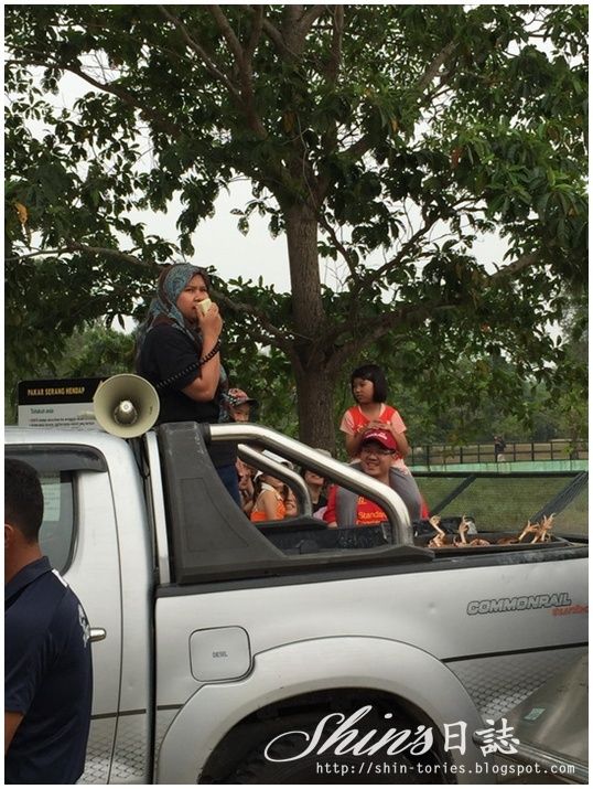 photo PAYAINDAH17.jpg