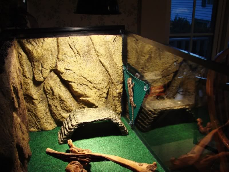 babydracosept2011008.jpg