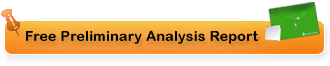 Free Preliminary SEO Analysis