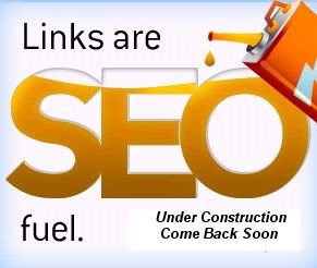 SEO Specialist Online Website Evaluation