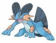 swampert.jpg