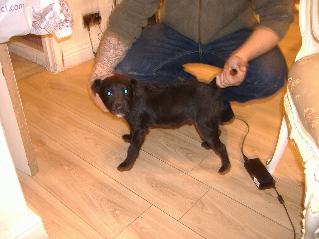 holidayskegie2008340.jpg