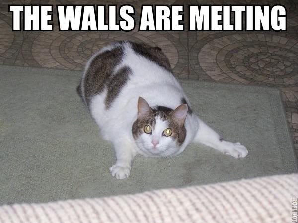 Melting Walls