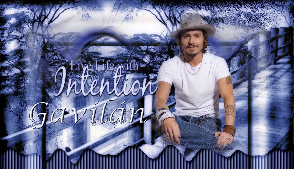 zzgavilanz.jpg picture by imanprincess5