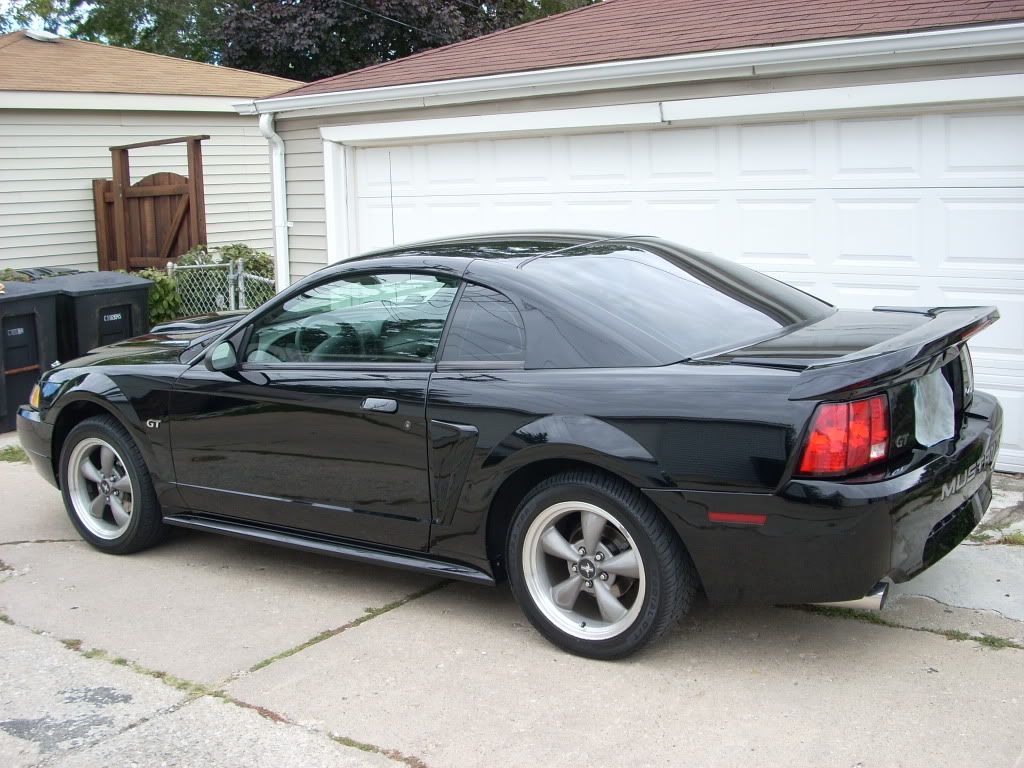 Blackout Mustang