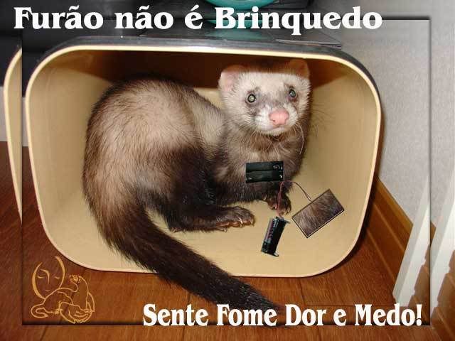 furaonaoebrinquedo.jpg Furao nao e brinquedo picture by DonatelloFerret