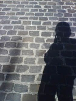 Mi sombra en Bruselas