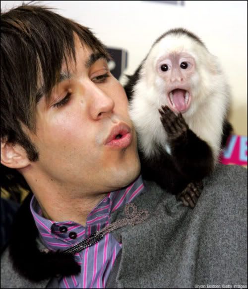 Pete Wentz