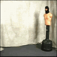 1697be9a70b21592d700bbe9b6fc.gif