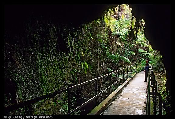 Toàn là hình đẹp ( nature & people & animal )