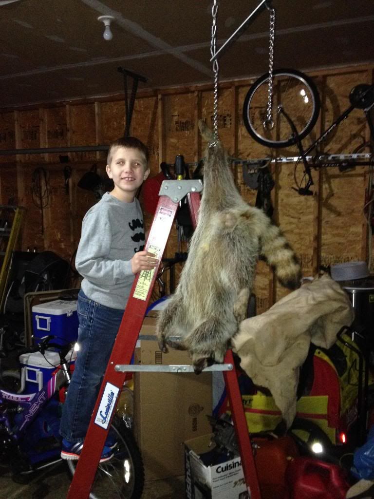 I want to make fur hats. - Homesteading Questions