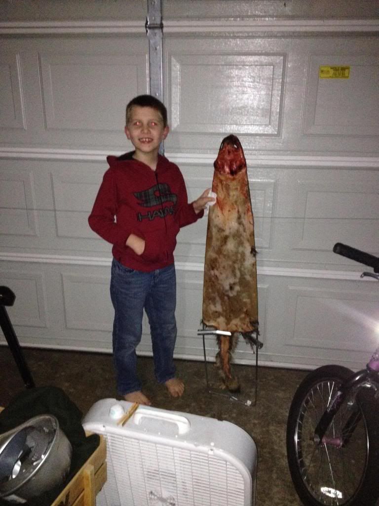 I want to make fur hats. - Homesteading Questions