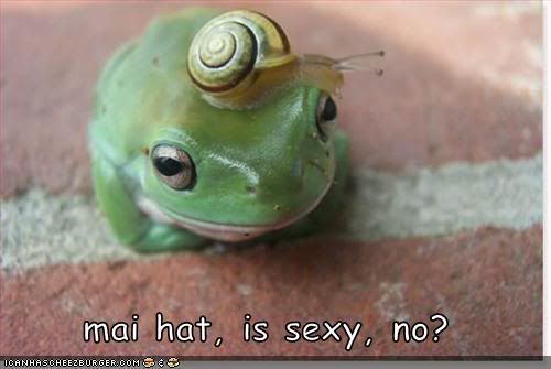 [Image: funny-pictures-frog-sexy-hat.jpg]