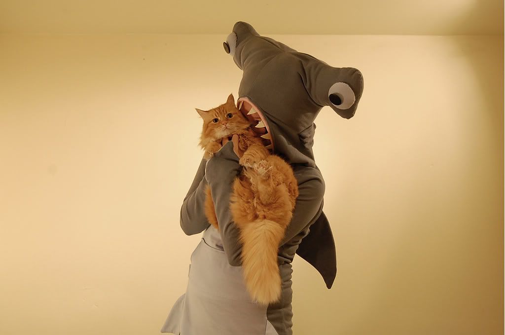 [Image: sharklady.jpg?t=1288064877]