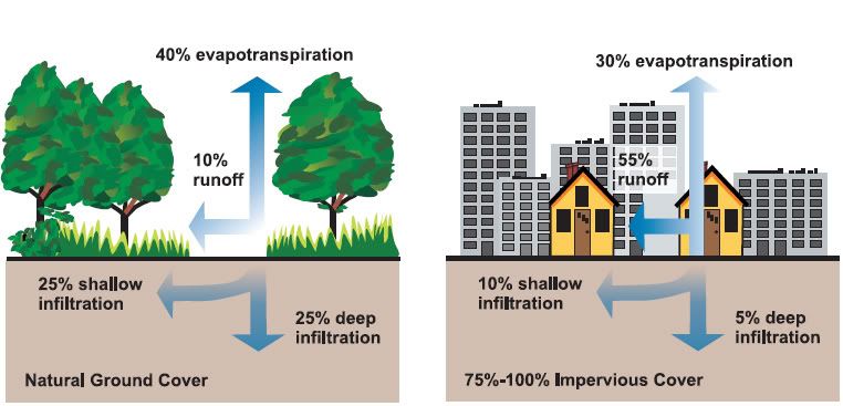 Natural__impervious_cover_diagrams_.jpg picture by tddesign