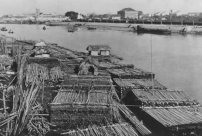 z-td-bambu-rafts.jpg picture by tddesign