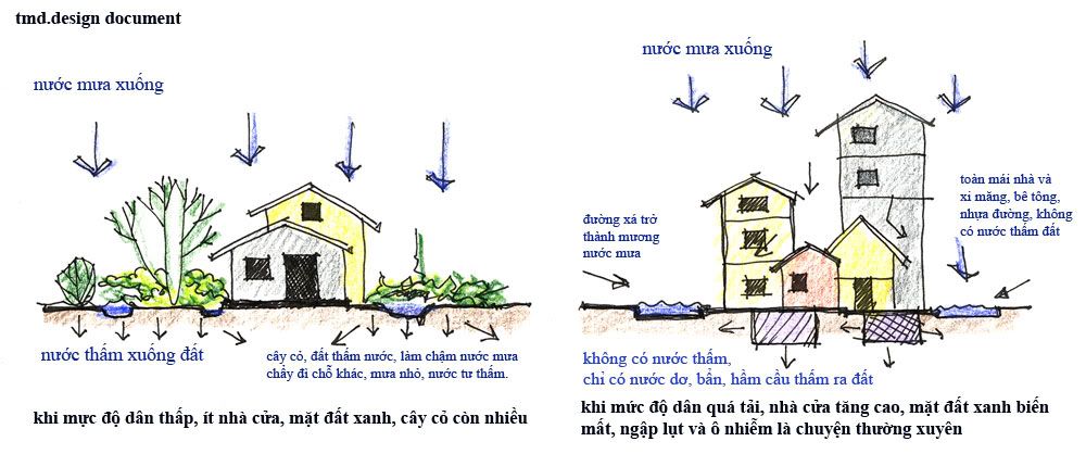 z-td-sg-diagram1.jpg picture by tddesign