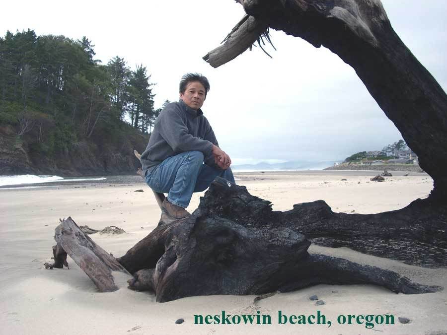 z-td-beach-neskowin.jpg picture by tddesign