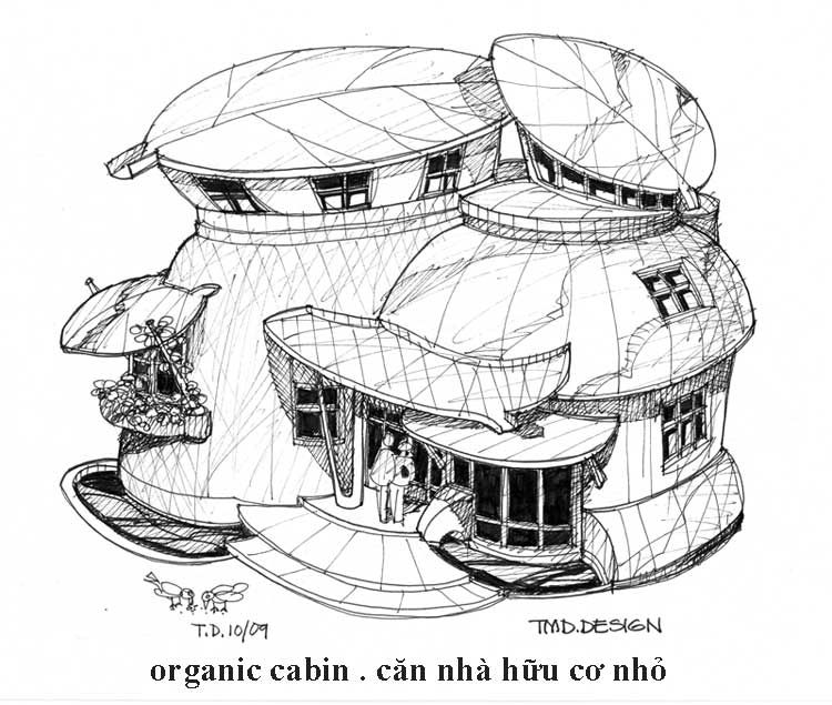 z-td-cabin-organic.jpg picture by tddesign