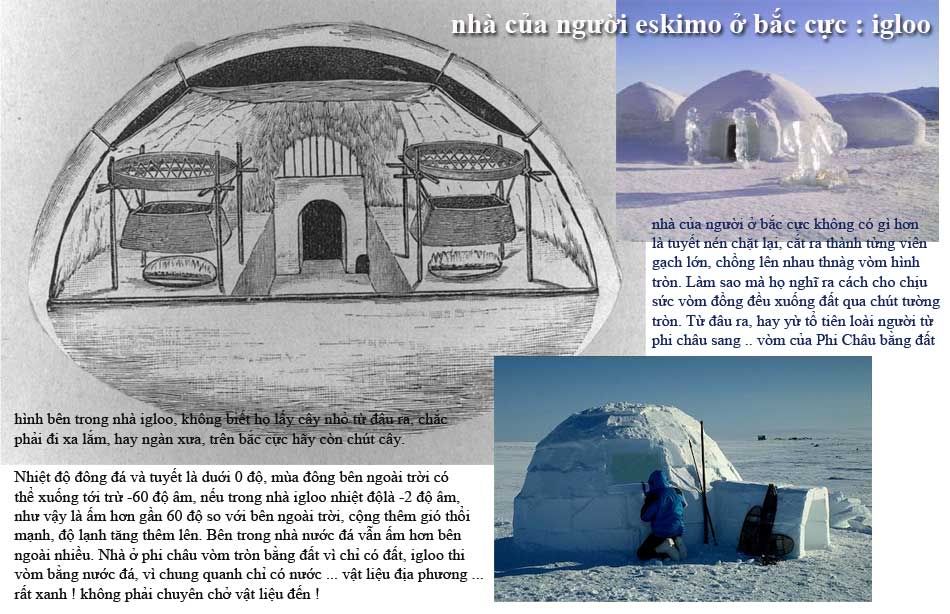 z-td-igloo-combination.jpg picture by tddesign