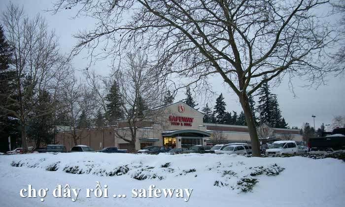 z-td-snow-safeway.jpg picture by tddesign