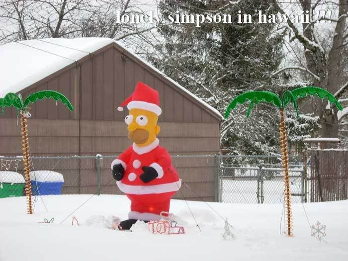 z-td-snow-simpson.jpg picture by tddesign