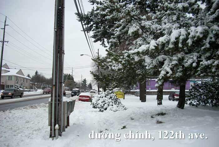 z-td-snow-street-122.jpg picture by tddesign