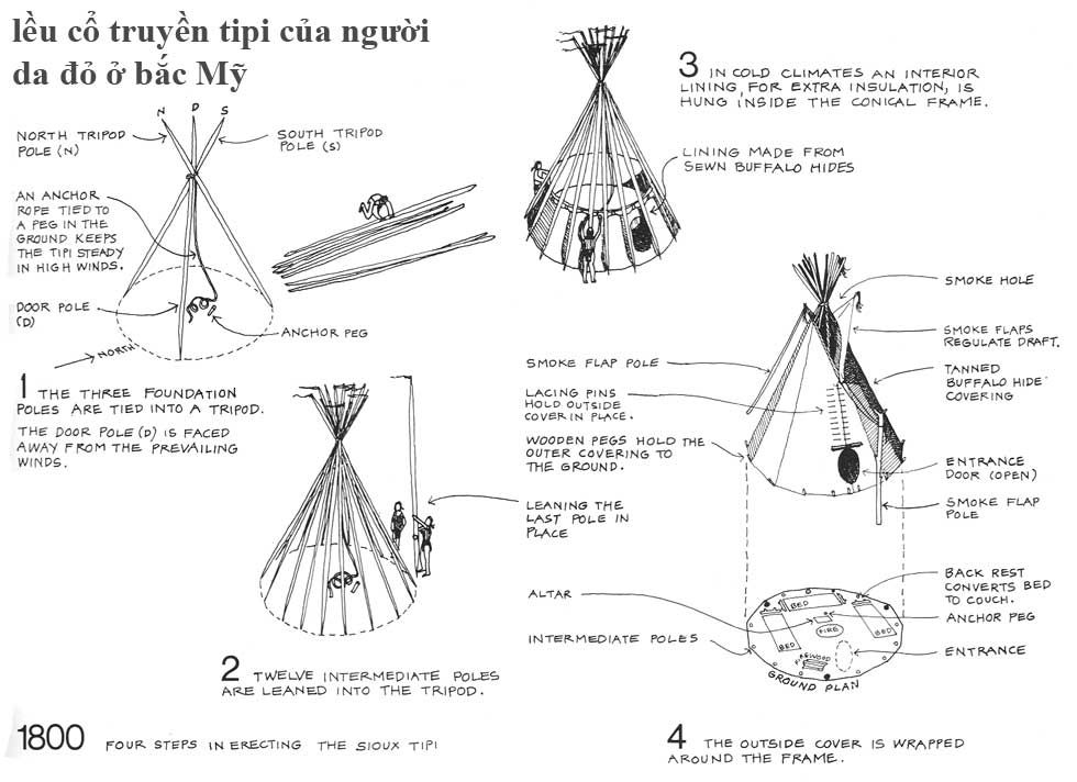 z-td-tmd-tipi-amer.jpg picture by tddesign