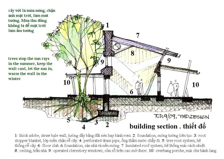 z-td-tree-h-sect.jpg picture by tddesign