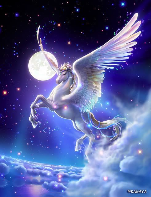 White Pegasus