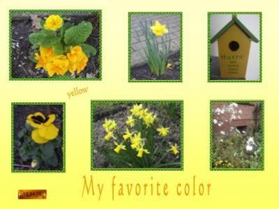 favorite_color.jpg GardenArt Journal Colors (basket) picture by gschenck