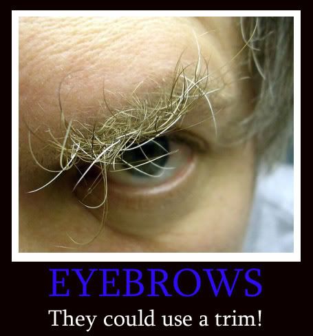 eyebrows