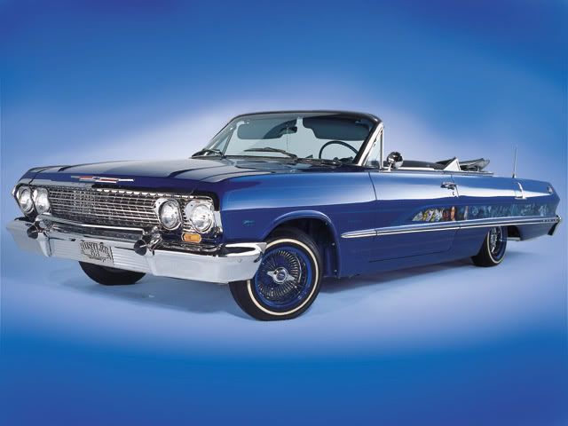 blue impala Image impala 63