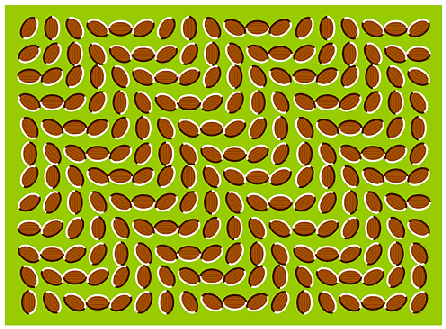 optical-illusion.gif