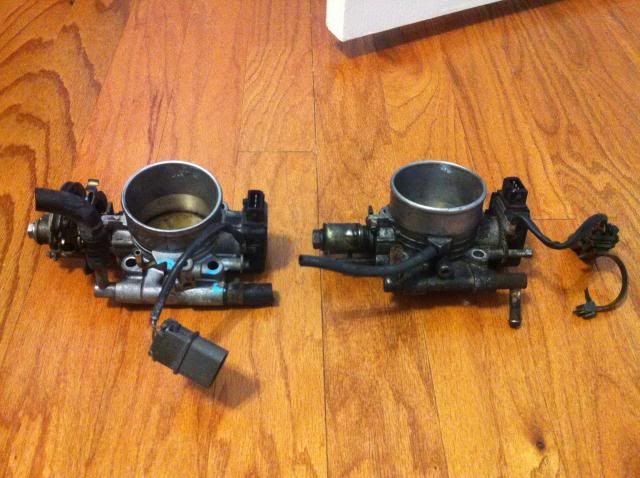  photo IMG_07931_zps76066d66.jpg