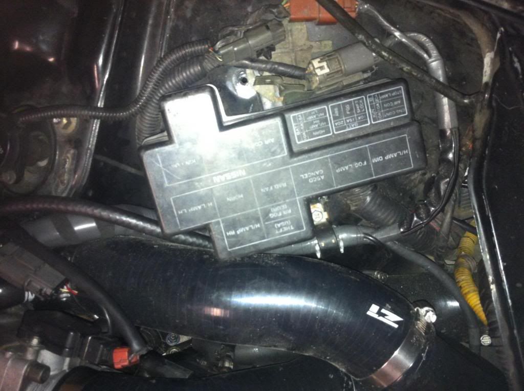  photo IMG_0992_zps6a68b459.jpg