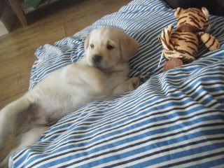 Blakeissuchacutie-1.jpg