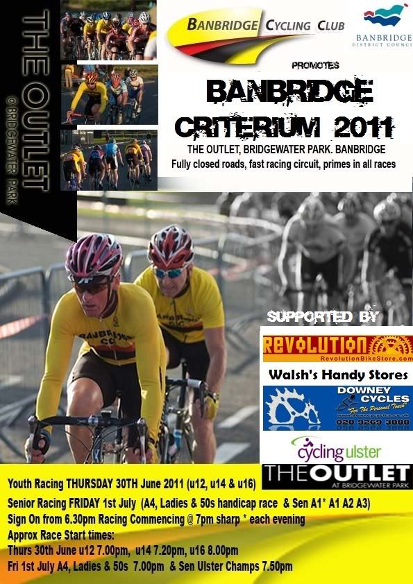 Crit2011flyer.jpg