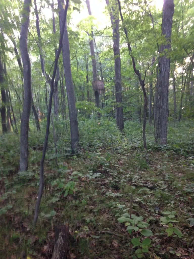 2014 blinds and stands, lets see them Crossbow Nation
