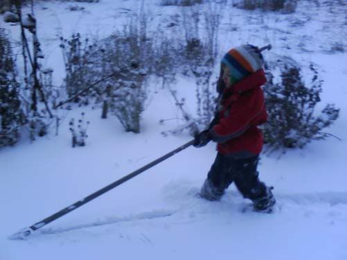 Harvesting snow